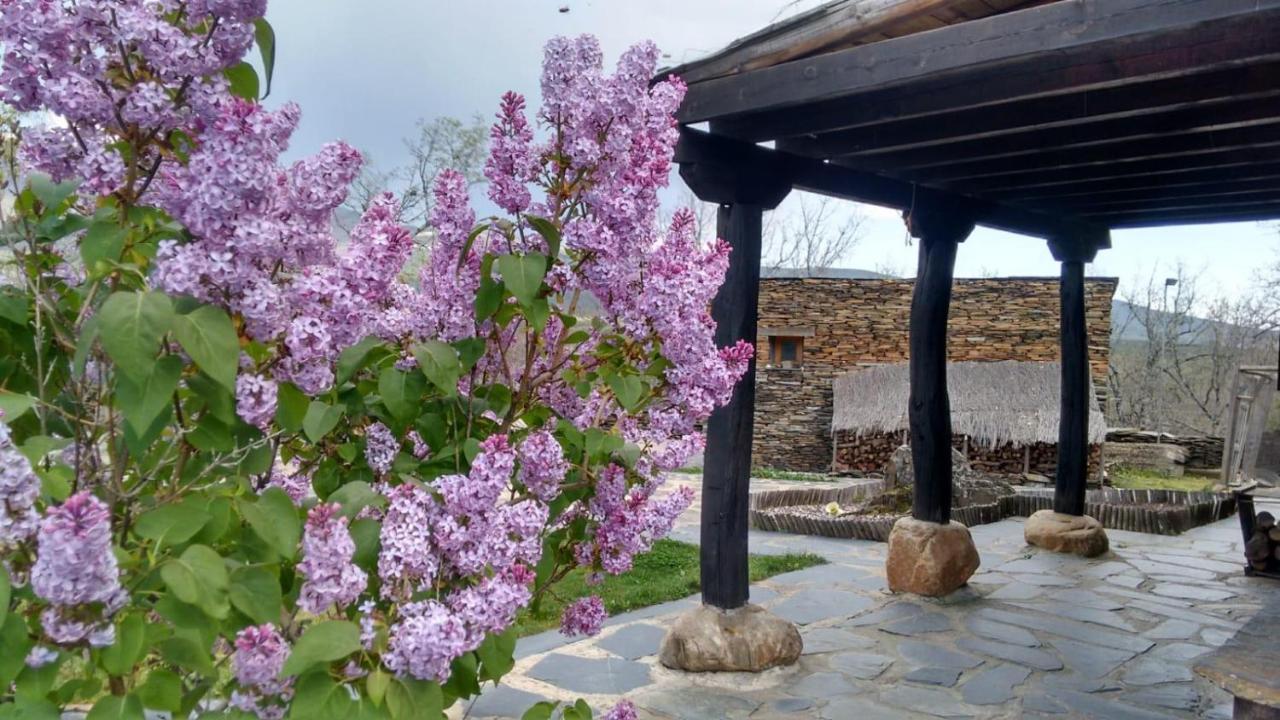 La Era De La Tia Donata Guest House Campillo de Ranas Exterior photo